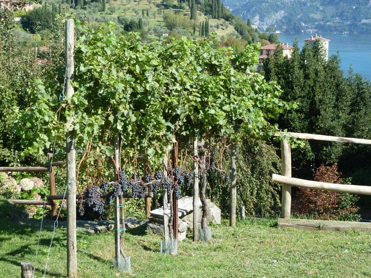 Bellagio Il Crotto Villa Eksteriør billede