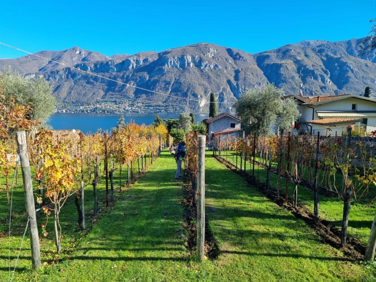 Bellagio Il Crotto Villa Eksteriør billede