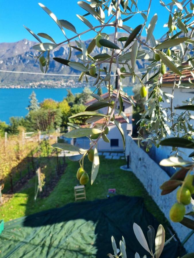 Bellagio Il Crotto Villa Eksteriør billede